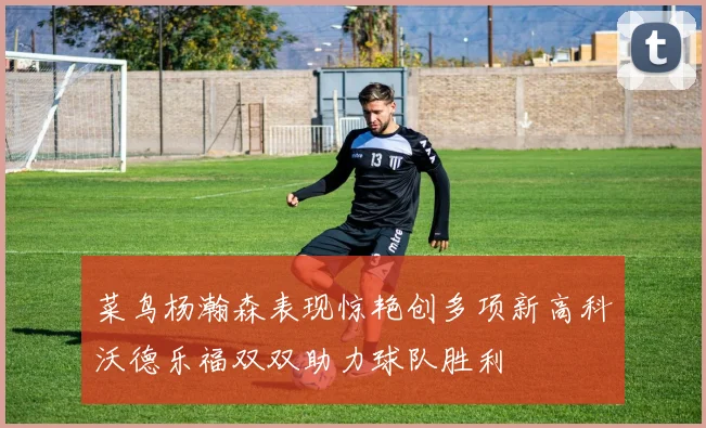 菜鸟杨瀚森表现惊艳创多项新高科沃德乐福双双助力球队胜利