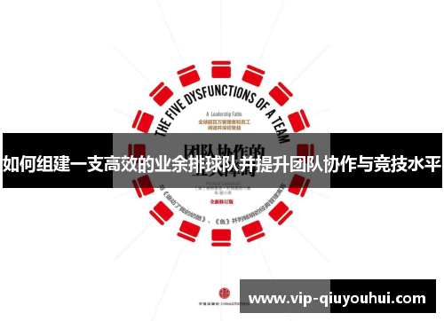 如何组建一支高效的业余排球队并提升团队协作与竞技水平