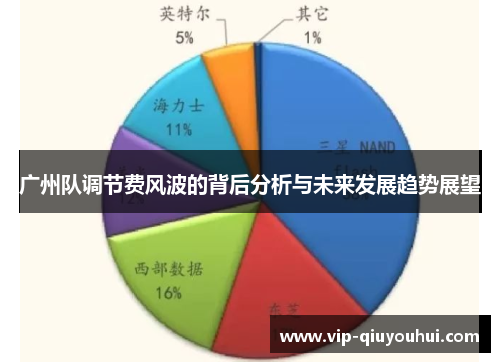 广州队调节费风波的背后分析与未来发展趋势展望