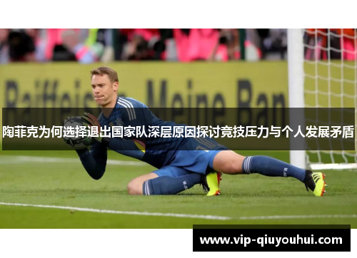 陶菲克为何选择退出国家队深层原因探讨竞技压力与个人发展矛盾